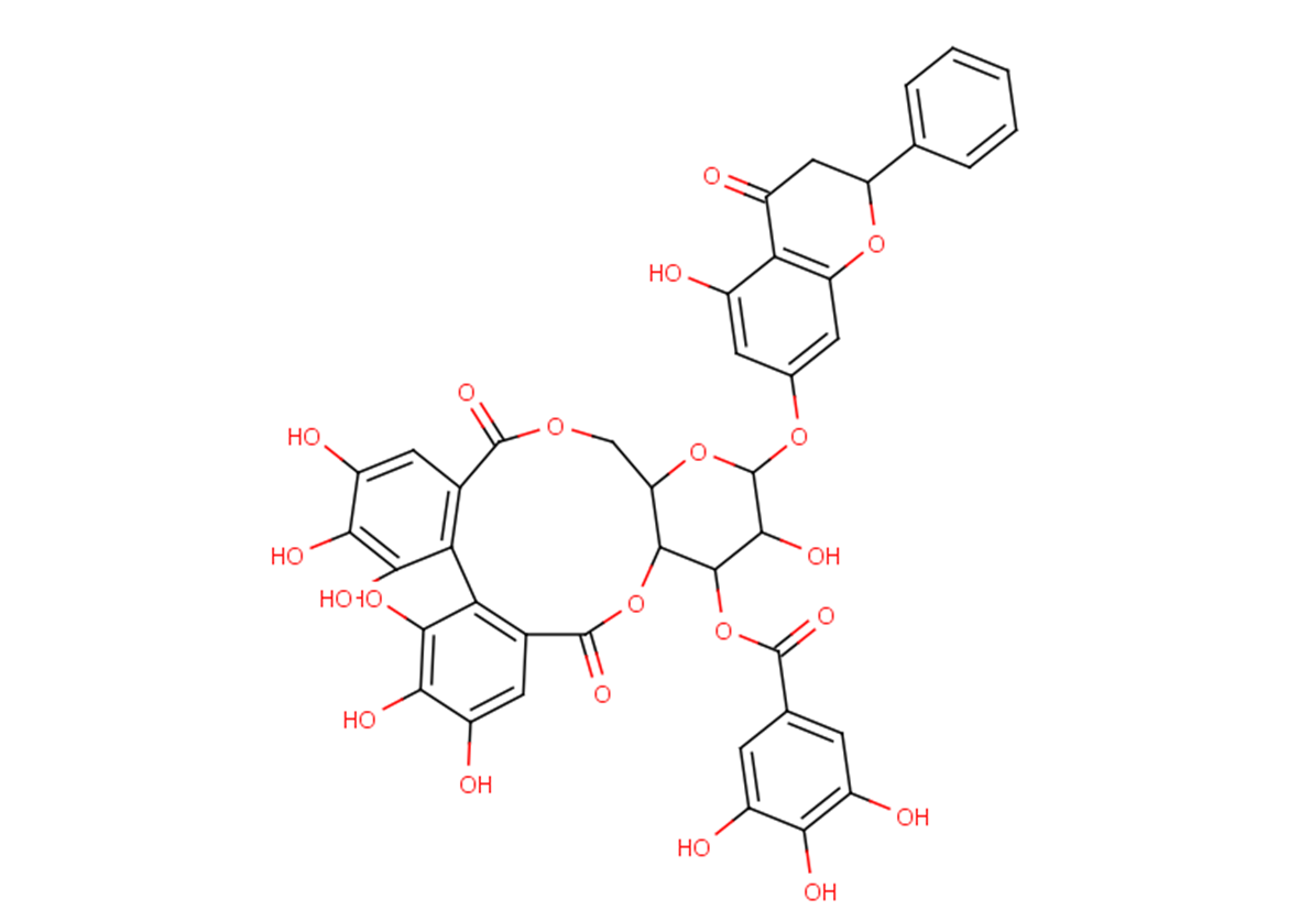 Pinocembrin 7-O-(3''-O-galloyl-4",6"-hexahydroxydiphenoyl)glucoside