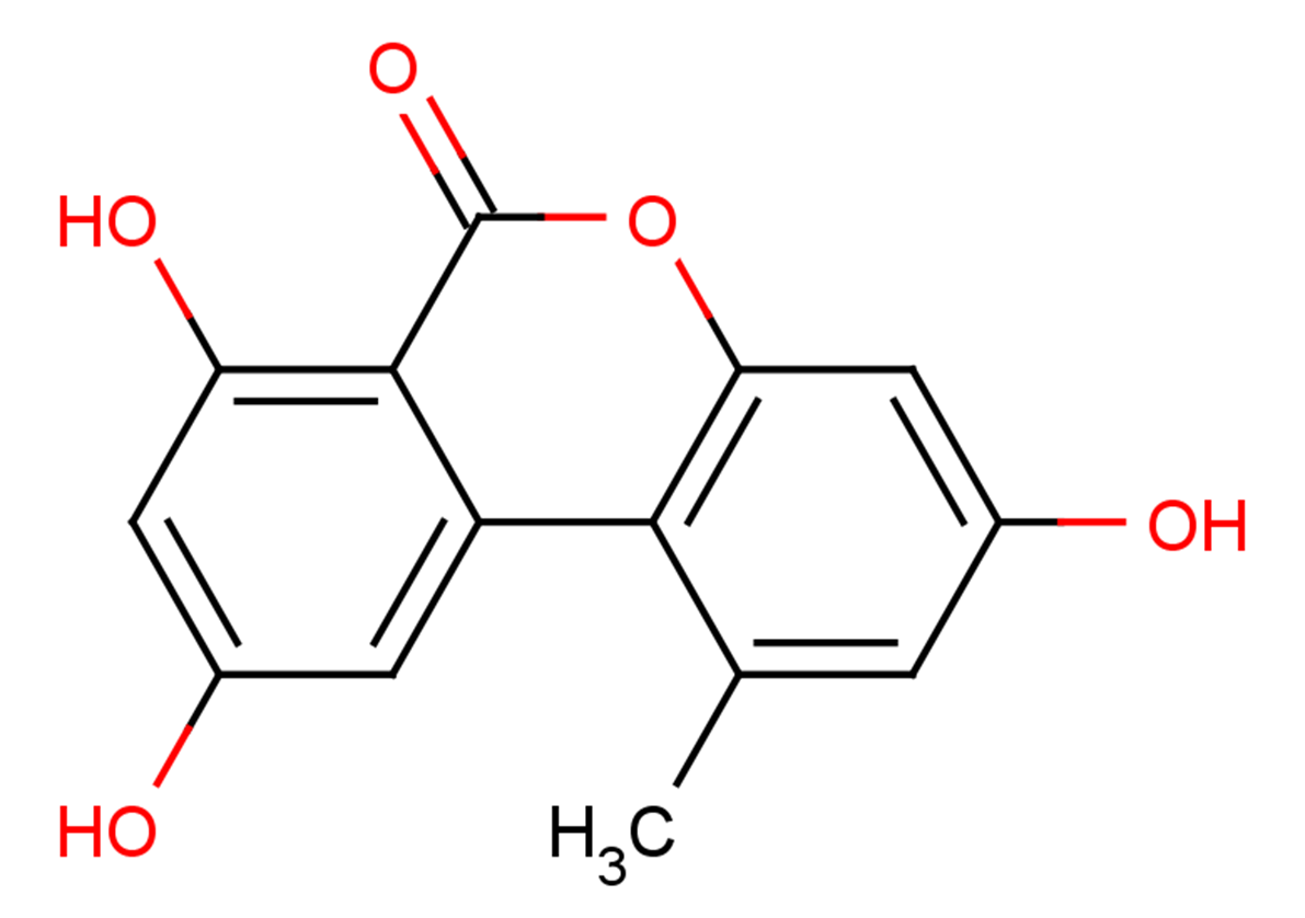 Alternariol