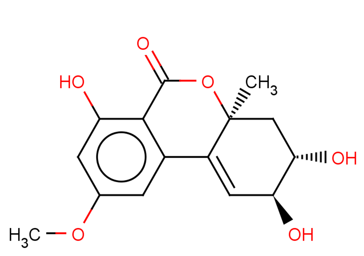 Altenuene