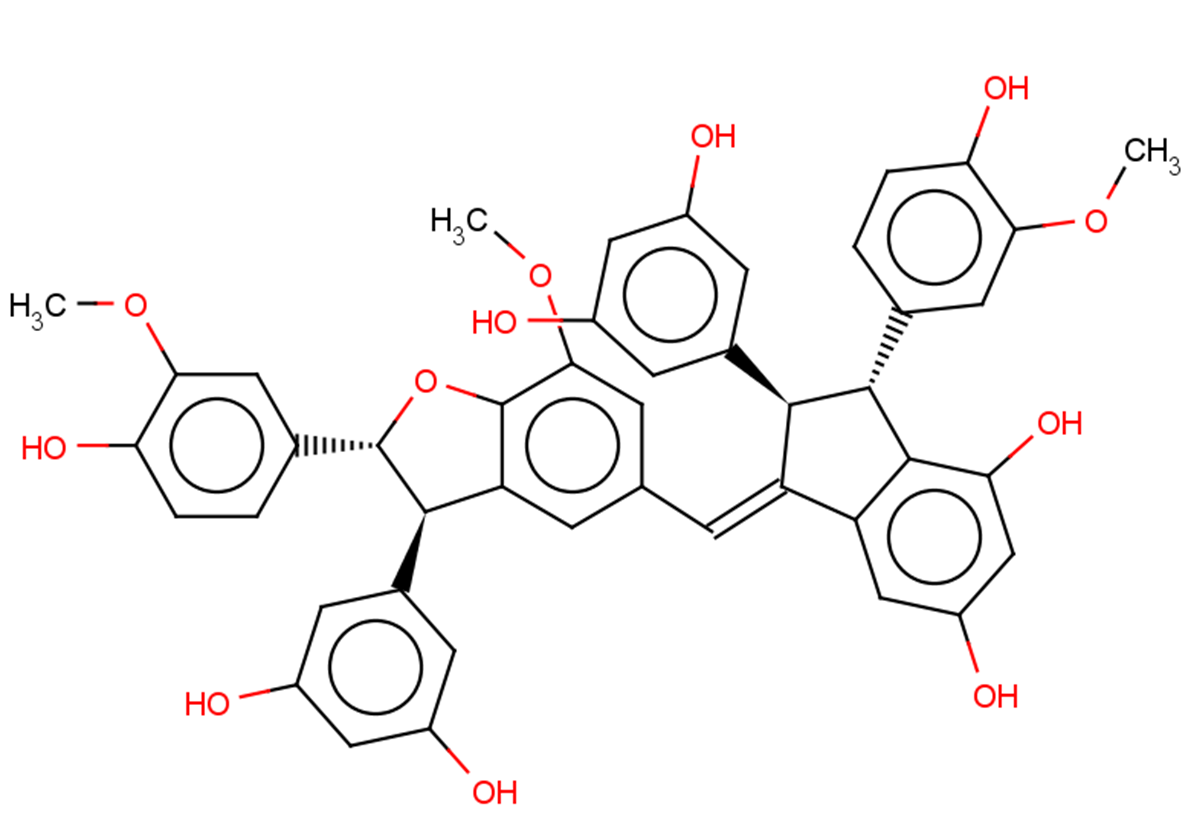 Gnetuhainin N