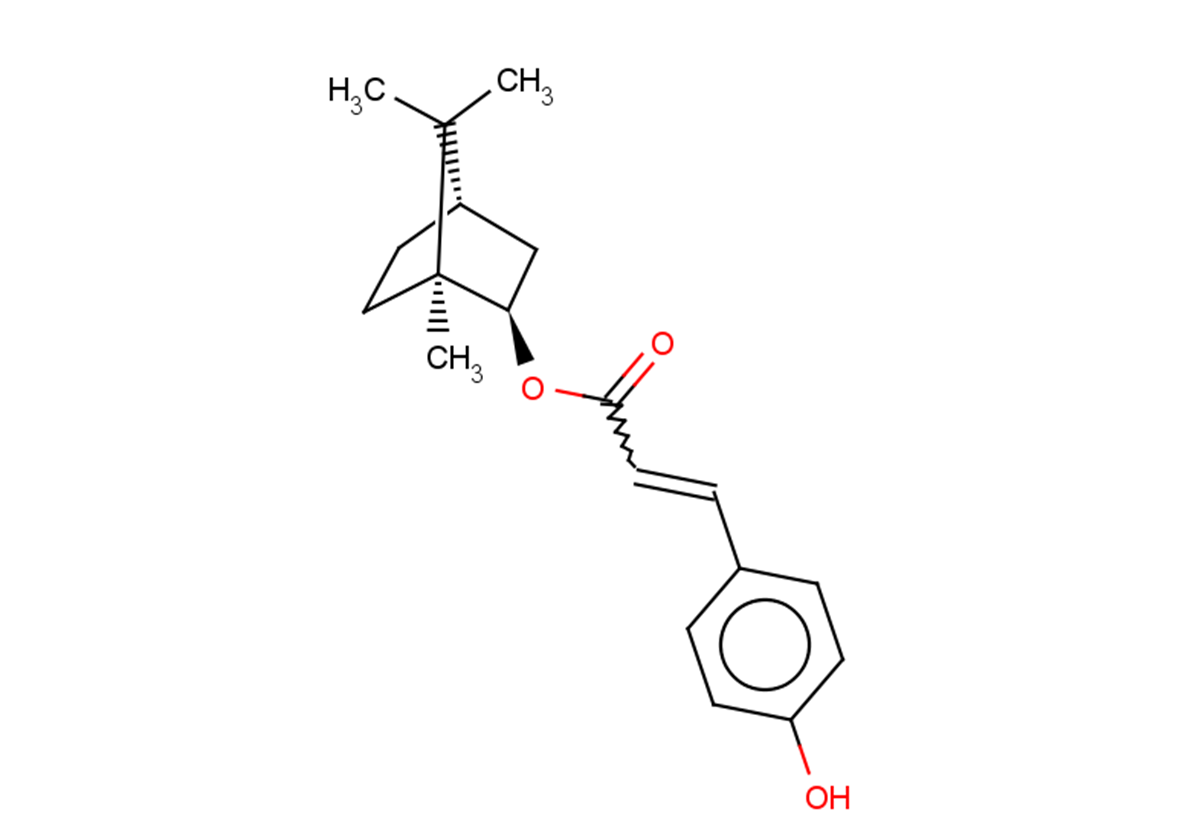 Biondinin C