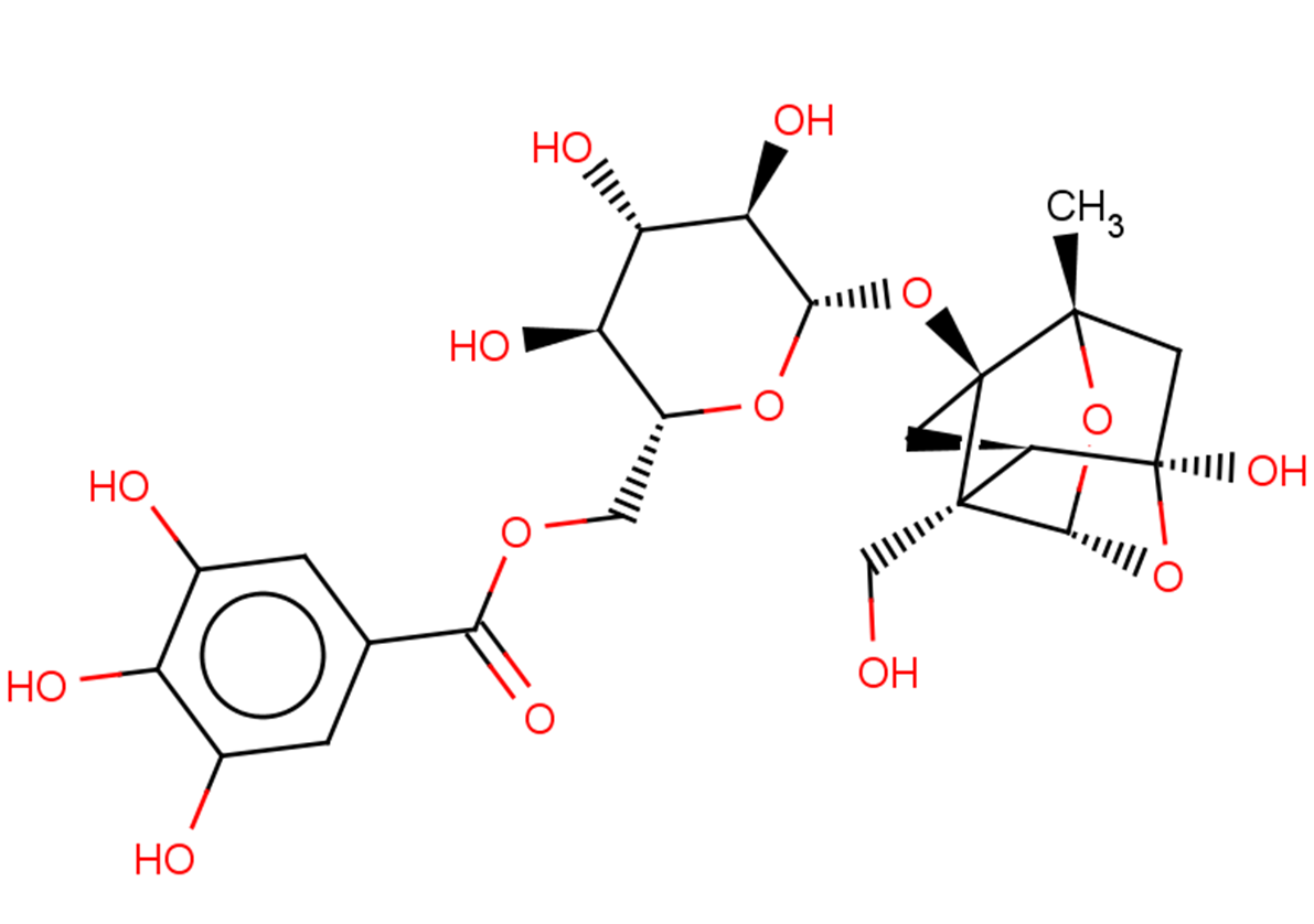Debenzoylgalloylpaeoniflorin