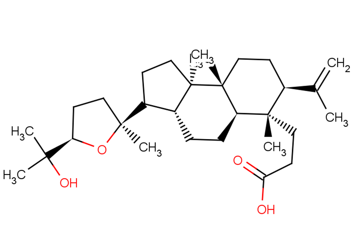 Shoreic acid