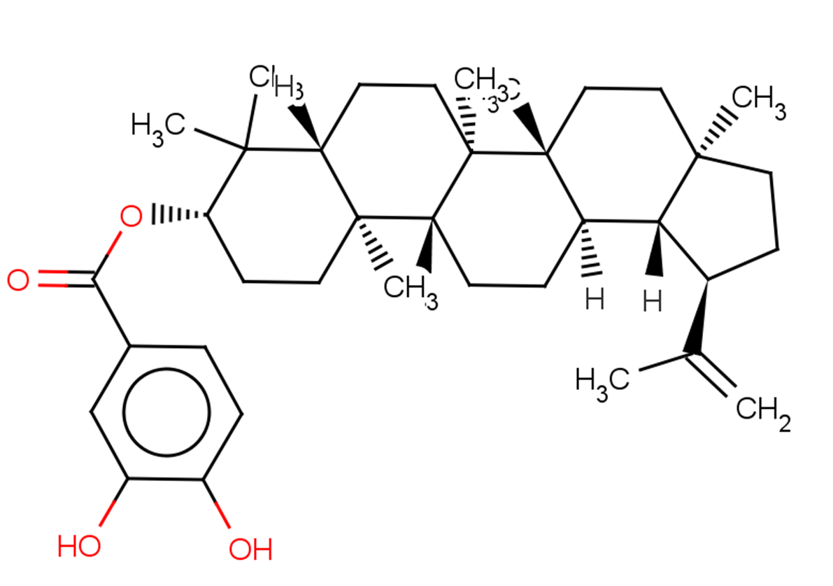 3,4-Dihydroxybenzoyllupeol