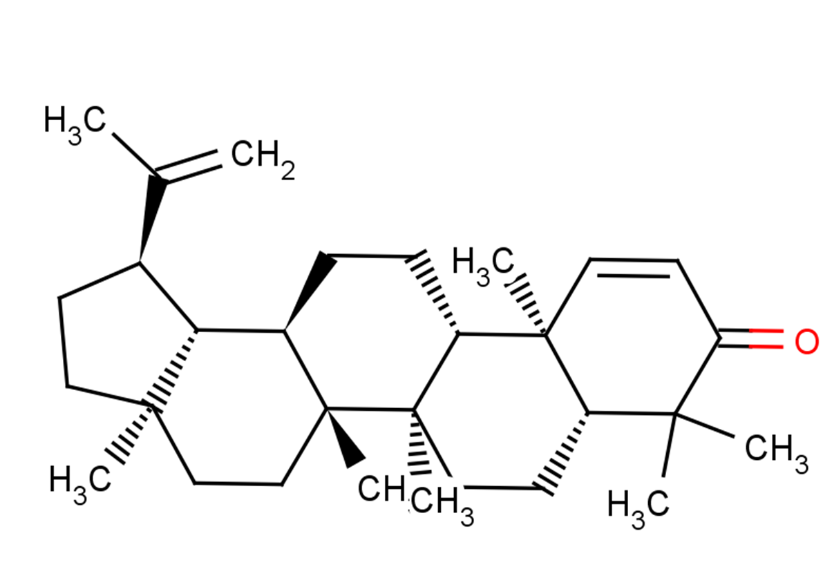 Glochidone