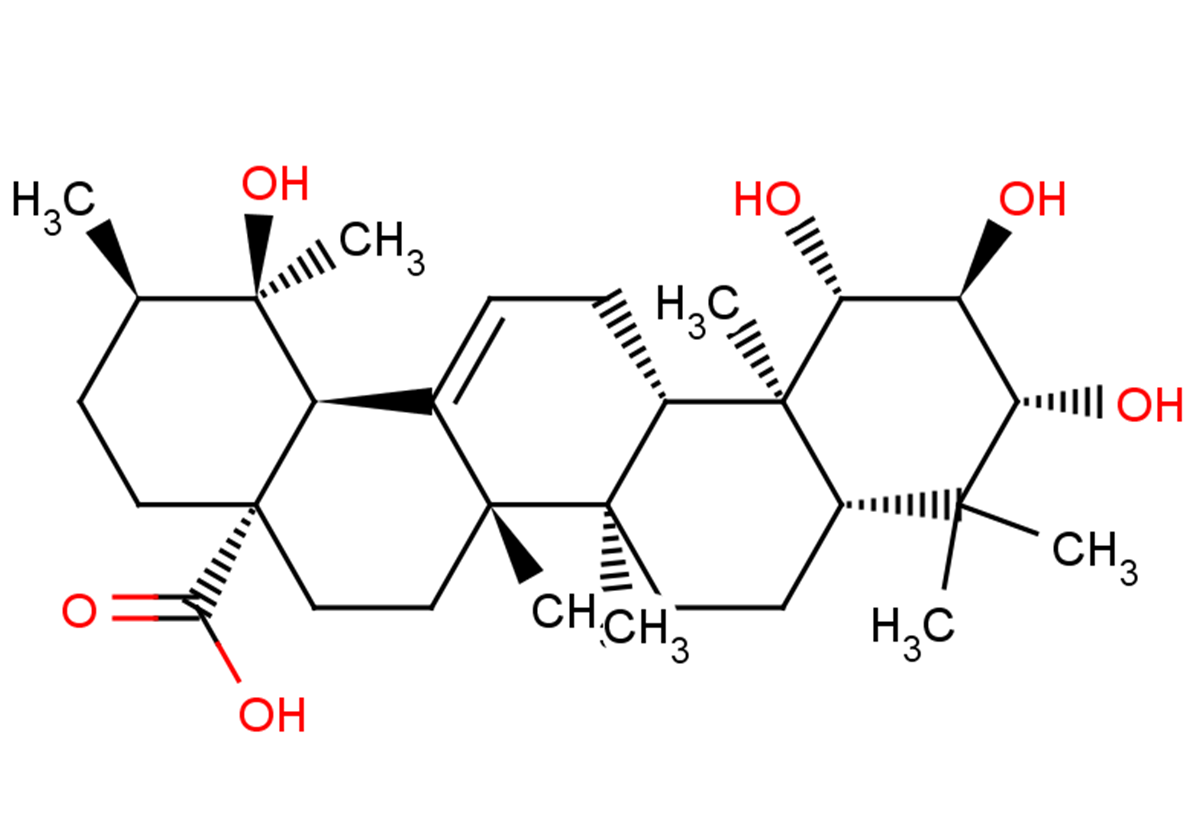 1β,2α,3β,19α-Tetrahydroxy-12-ursen-28-oic acid