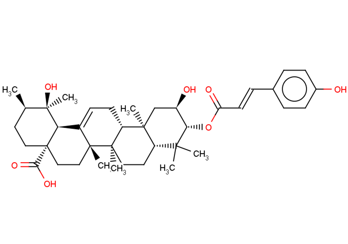 3-O-p-Coumaroyltormentic acid
