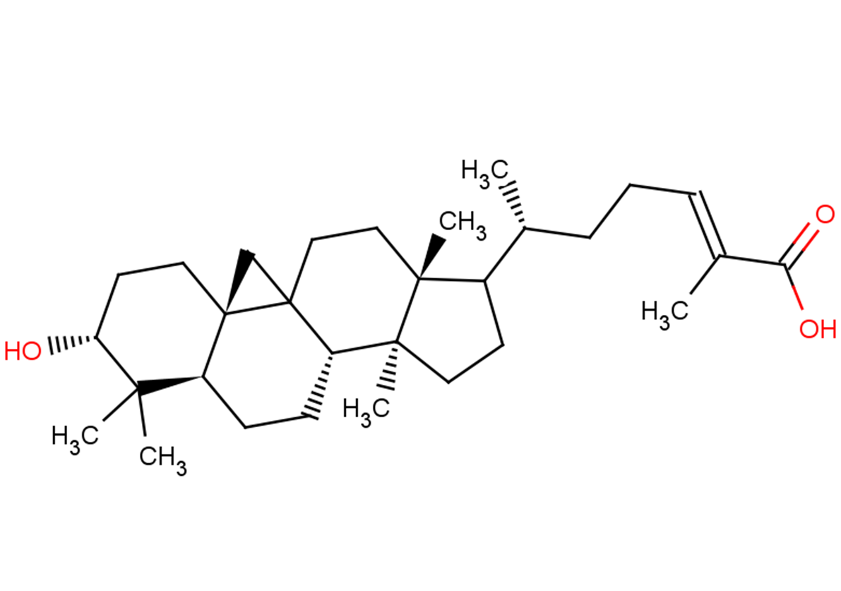 Isomangiferolic acid