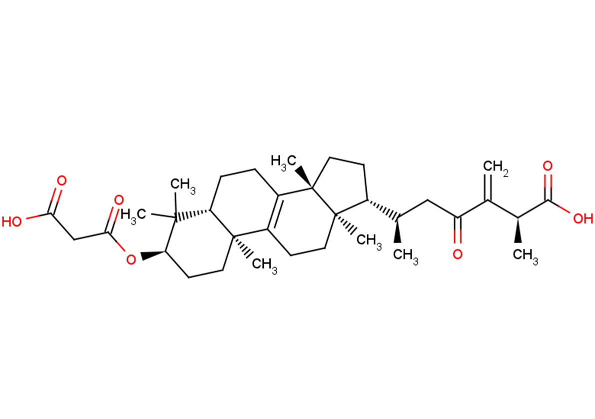 24(31)-Dehydrocarboxyacetylquercinic acid