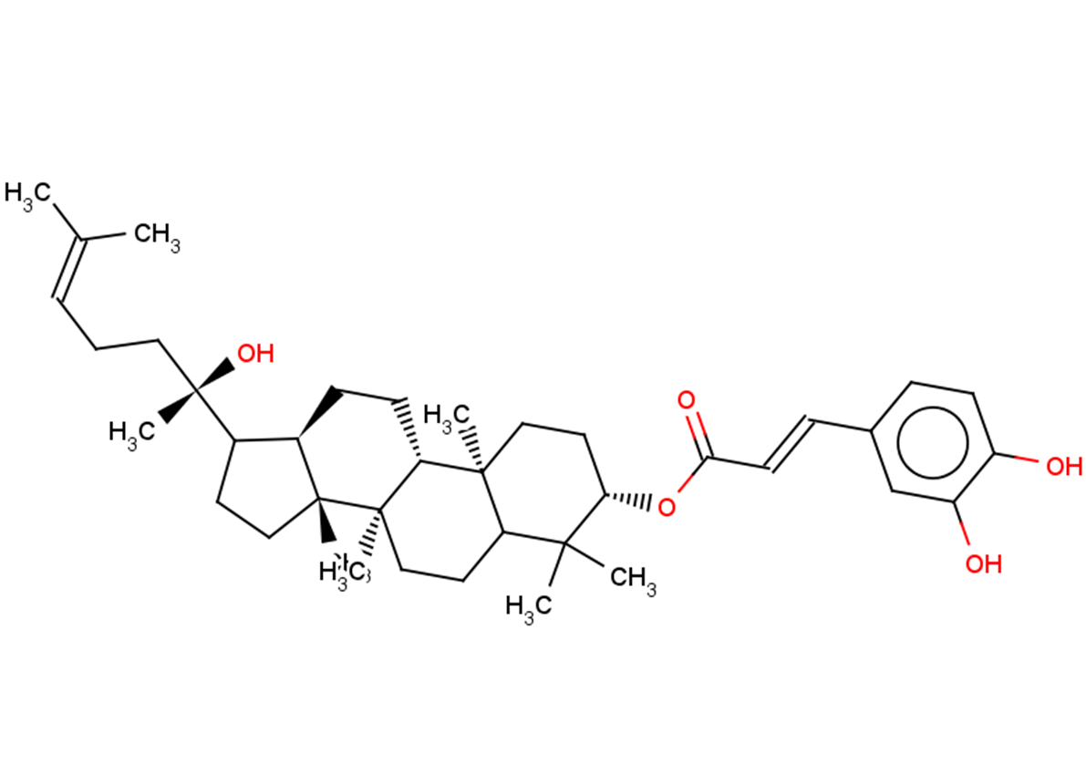 Dammarenediol II 3-O-caffeate