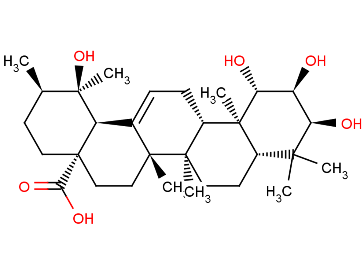 1β-Hydroxyeuscaphic acid