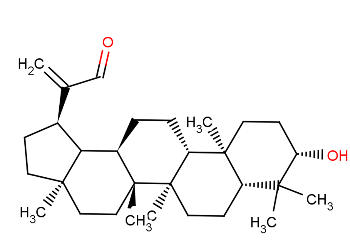 30-Oxolupeol