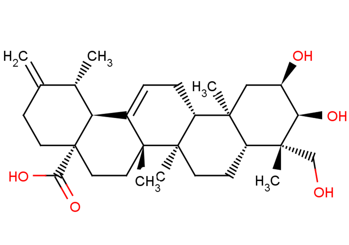 2α,3α,24-Trihydroxyursa-12,20(30)-dien-28-oic acid