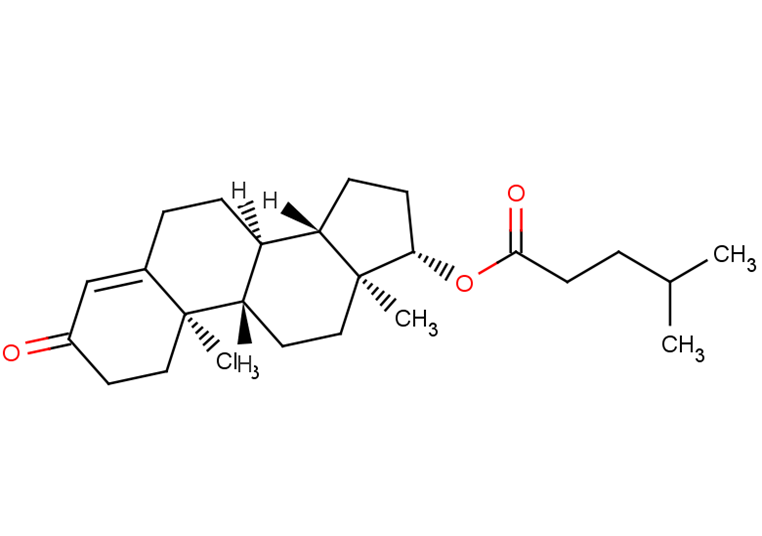 Testosterone isocaproate
