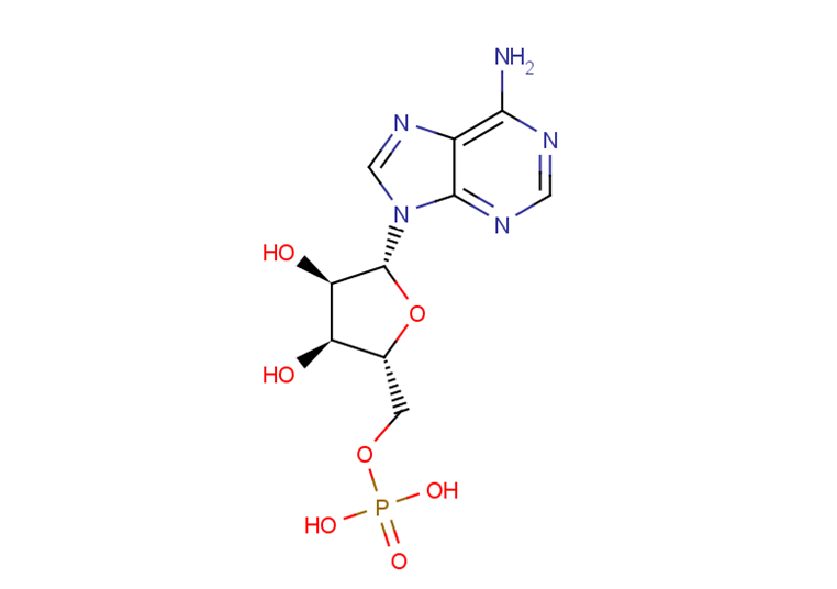 Adenosine 5'-monophosphate
