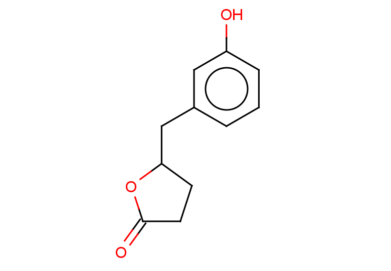 5-[(3-hydroxyphenyl)methyl]oxolan-2-one