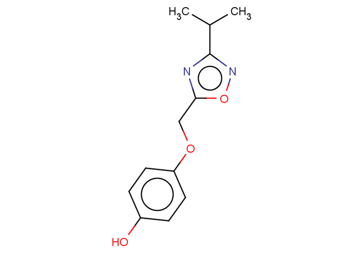 4-{[3-(propan-2-yl)-1,2,4-oxadiazol-5-yl]methoxy}phenol