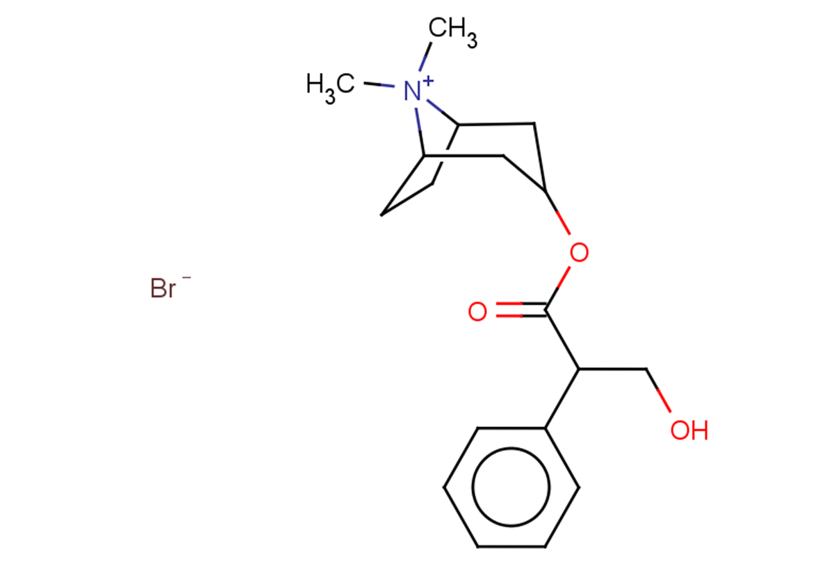 N-Methylatropine Bromide