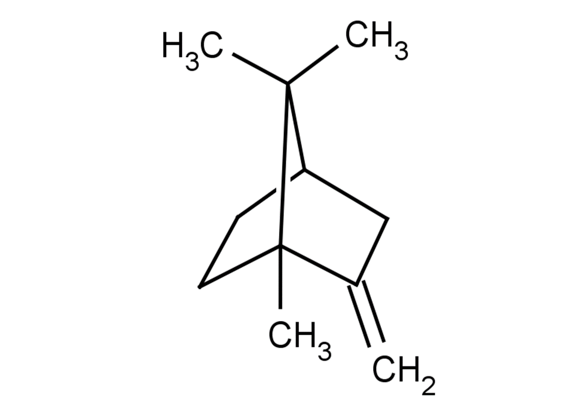 1,7,7-trimethyl-2-methylidenebicyclo[2.2.1]heptane