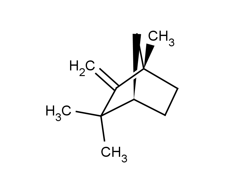(1S,4R)-1,3,3-trimethyl-2-methylidenebicyclo[2.2.1]heptane