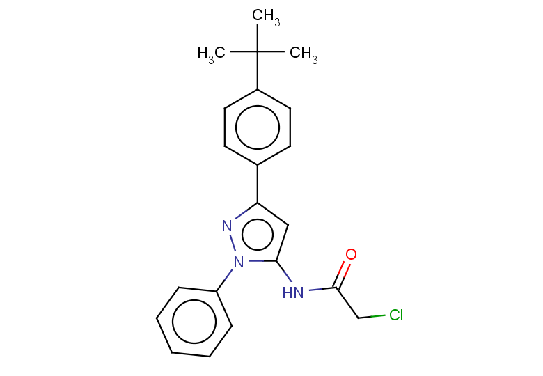 N-[3-(4-tert-butylphenyl)-1-phenyl-1H-pyrazol-5-yl]-2-chloroacetamide