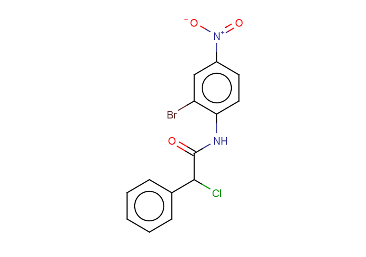 N-(2-bromo-4-nitrophenyl)-2-chloro-2-phenylacetamide