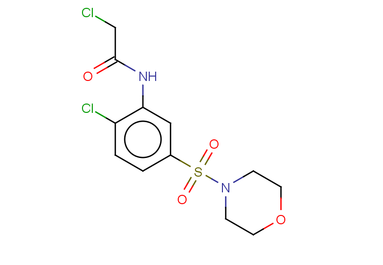 2-chloro-N-[2-chloro-5-(morpholine-4-sulfonyl)phenyl]acetamide