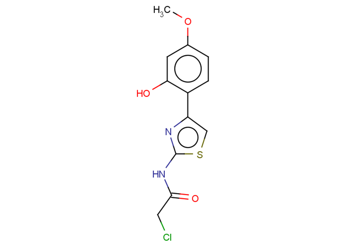 2-chloro-N-[4-(2-hydroxy-4-methoxyphenyl)-1,3-thiazol-2-yl]acetamide