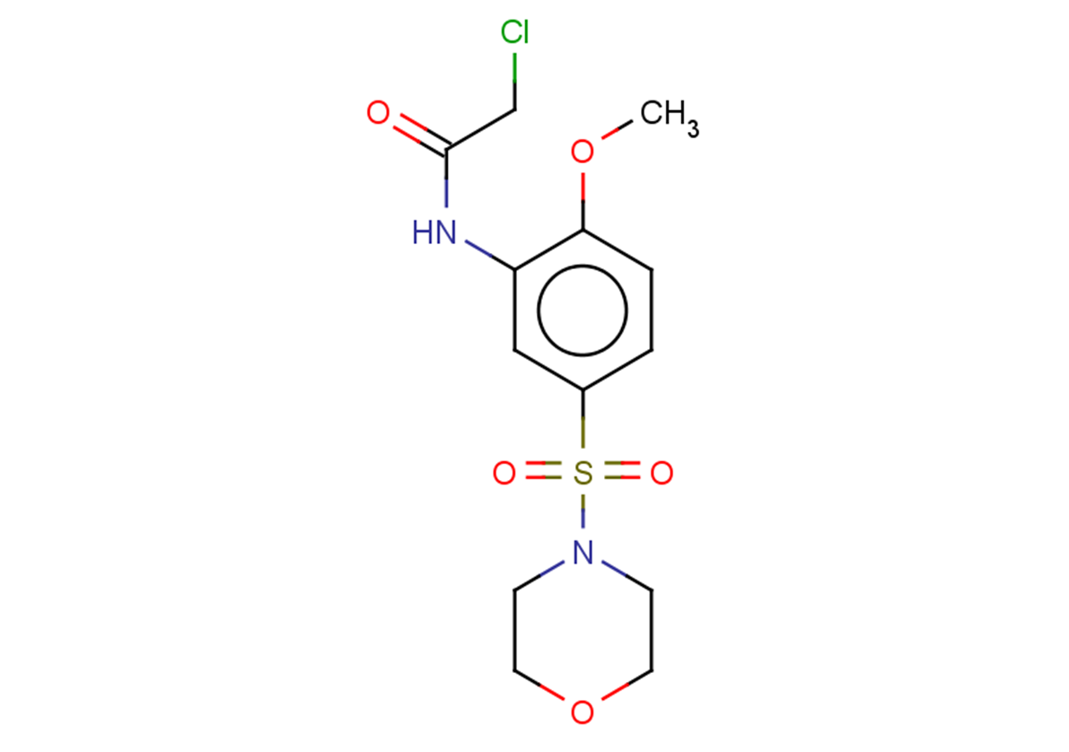 2-chloro-N-[2-methoxy-5-(morpholine-4-sulfonyl)phenyl]acetamide