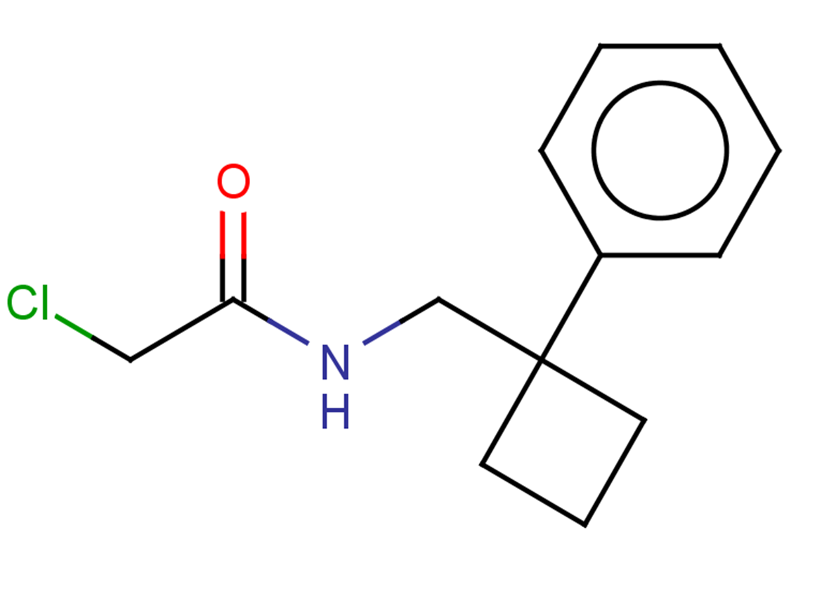 2-chloro-N-[(1-phenylcyclobutyl)methyl]acetamide