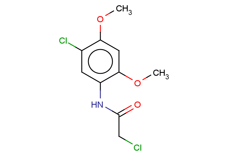 2-chloro-N-(5-chloro-2,4-dimethoxyphenyl)acetamide
