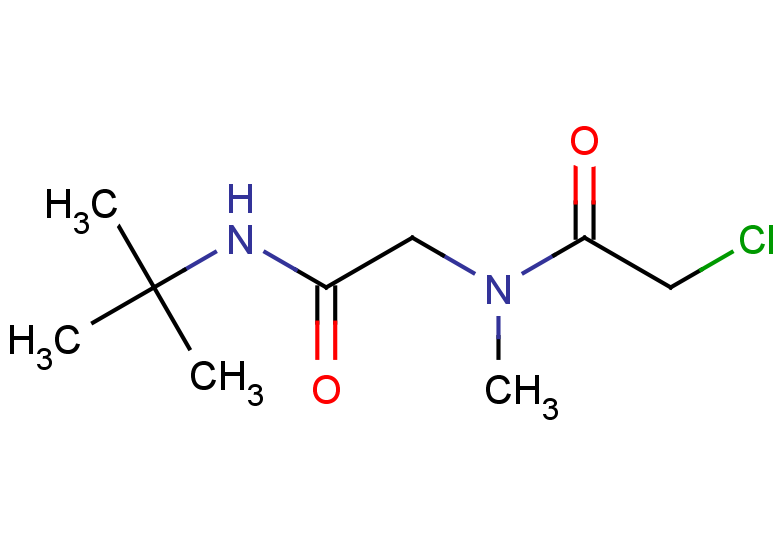 N-tert-butyl-2-(2-chloro-N-methylacetamido)acetamide
