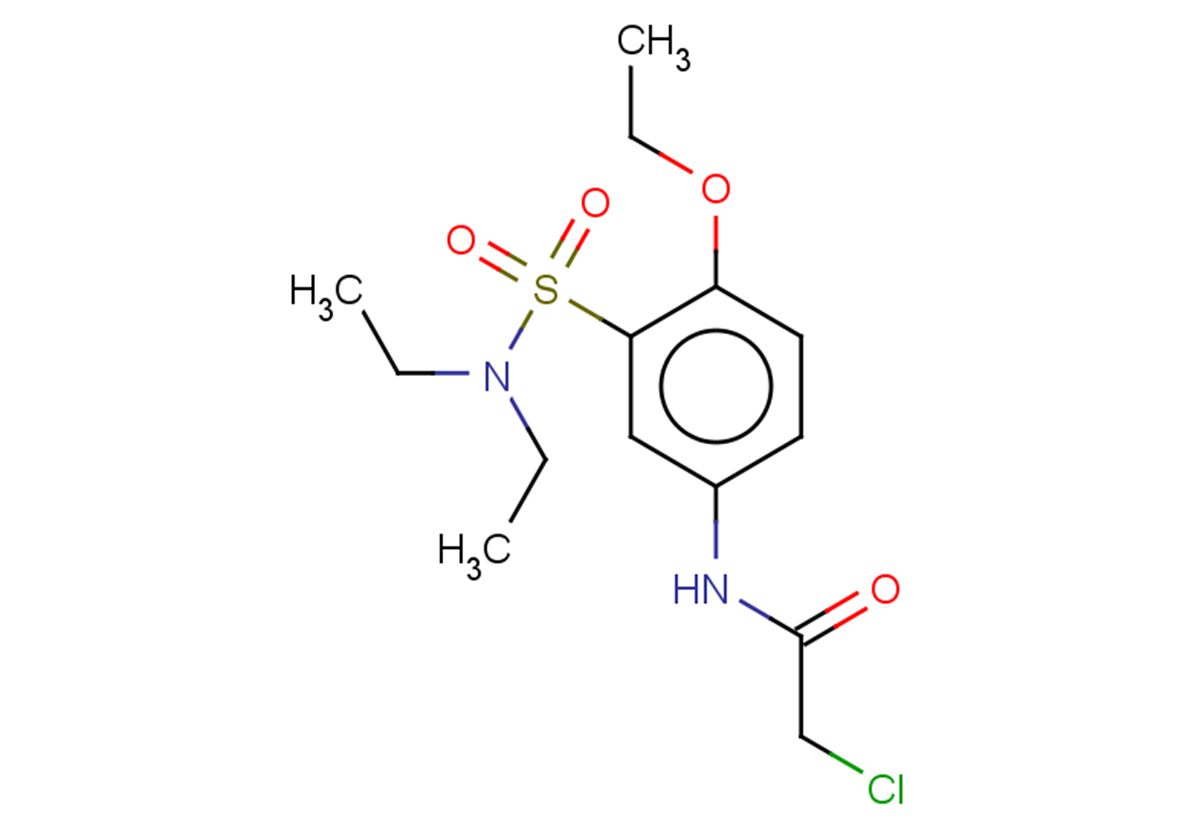 2-chloro-N-[3-(diethylsulfamoyl)-4-ethoxyphenyl]acetamide