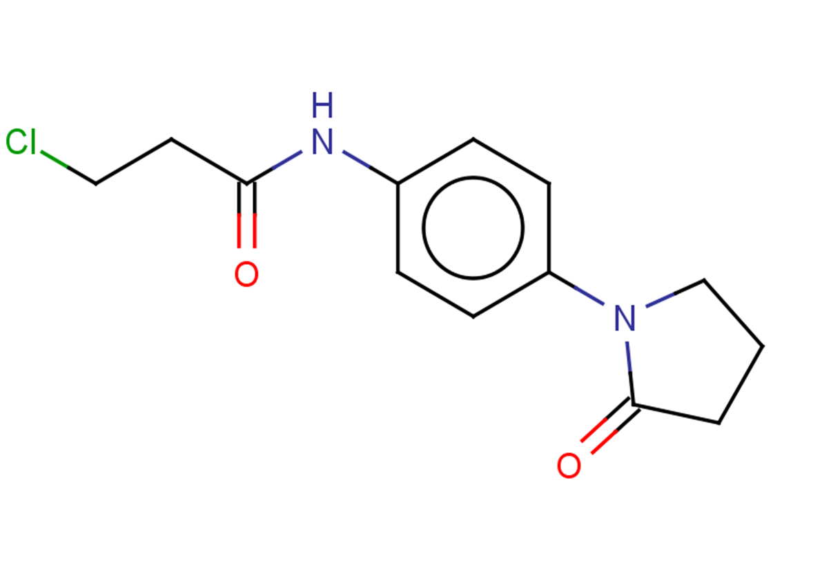 3-chloro-N-[4-(2-oxopyrrolidin-1-yl)phenyl]propanamide