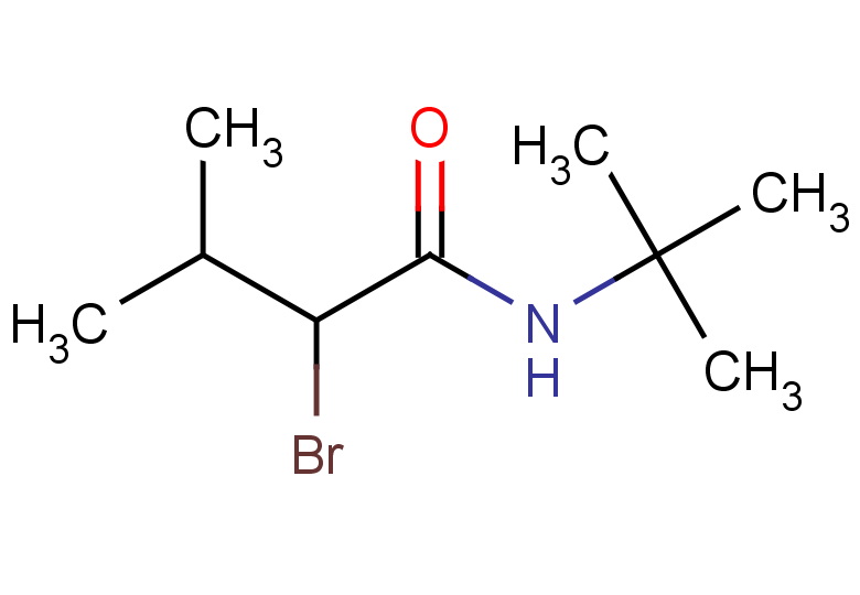 2-bromo-N-tert-butyl-3-methylbutanamide