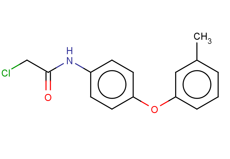 2-chloro-N-[4-(3-methylphenoxy)phenyl]acetamide