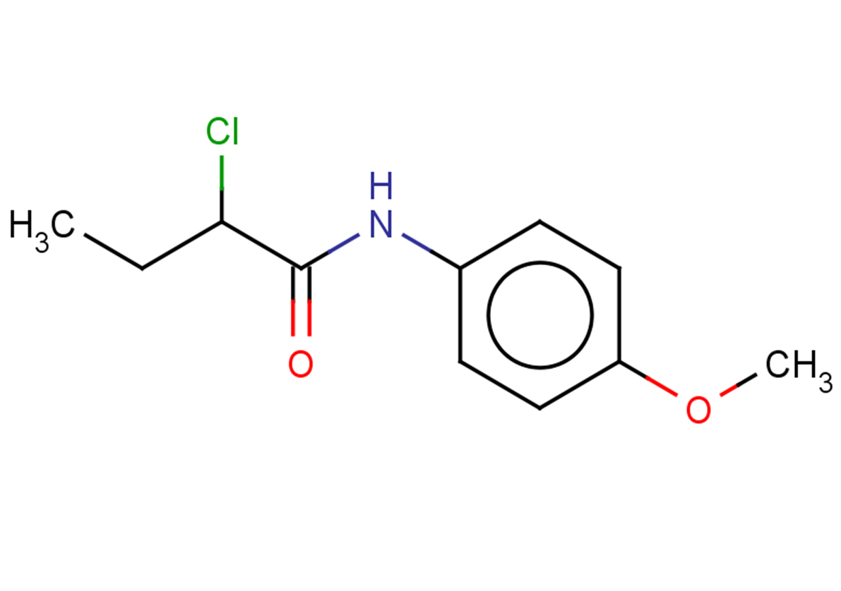 2-chloro-N-(4-methoxyphenyl)butanamide