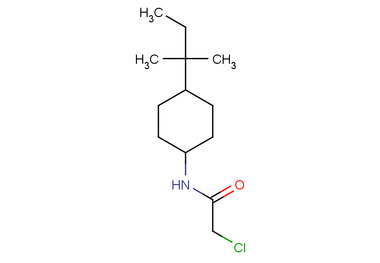 2-chloro-N-[4-(2-methylbutan-2-yl)cyclohexyl]acetamide