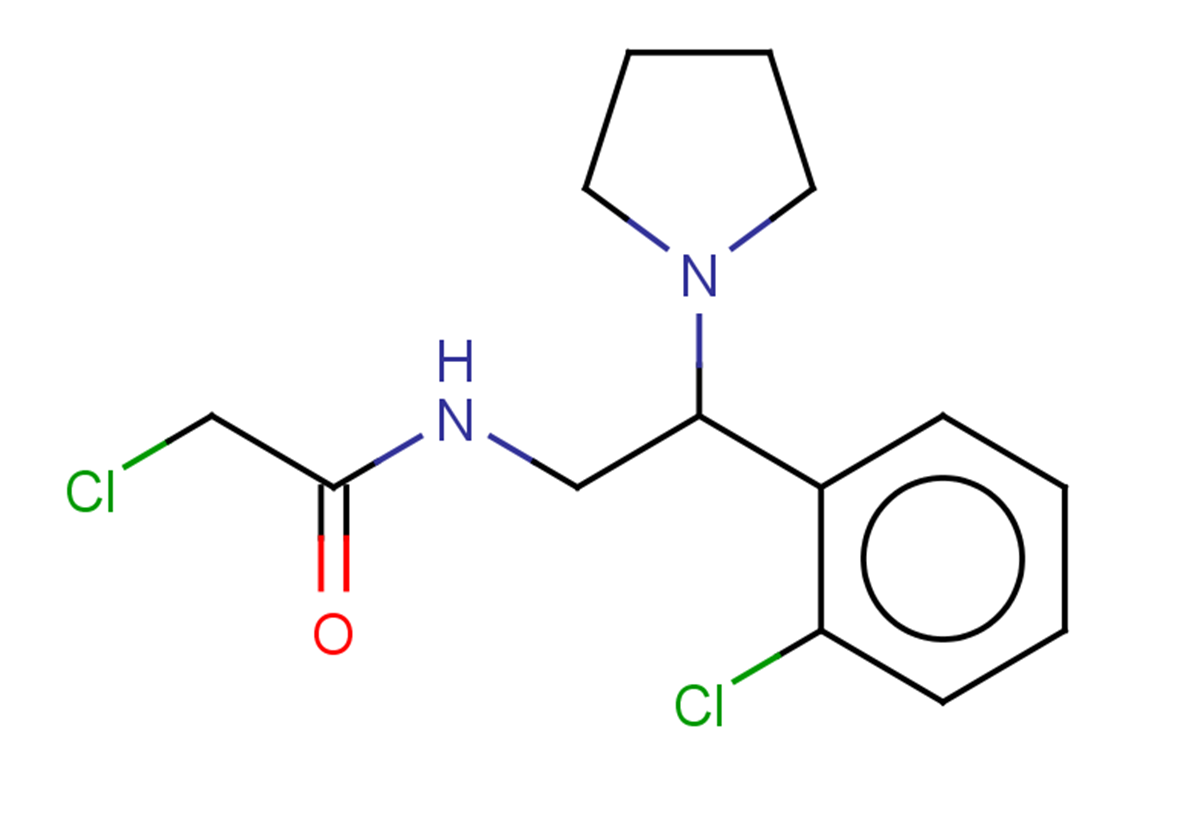 2-chloro-N-[2-(2-chlorophenyl)-2-(pyrrolidin-1-yl)ethyl]acetamide