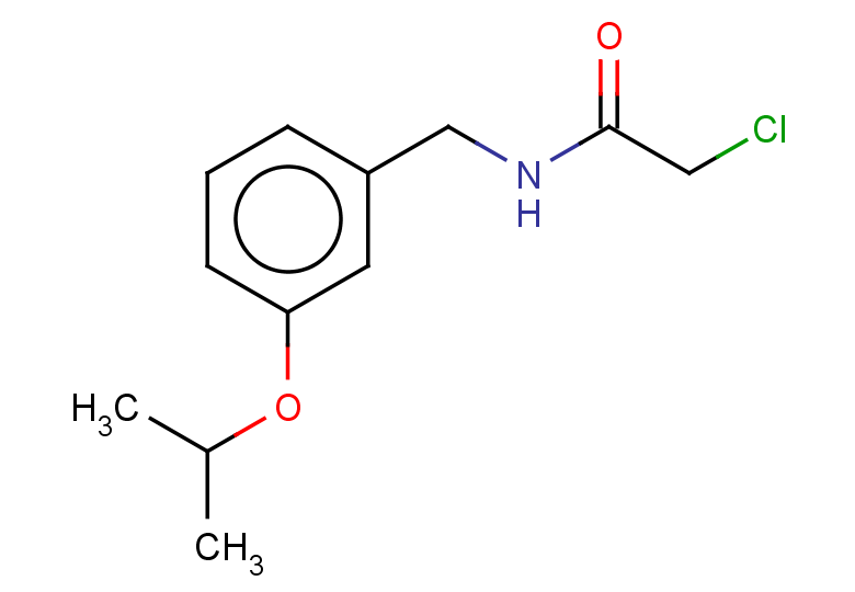 2-chloro-N-{[3-(propan-2-yloxy)phenyl]methyl}acetamide