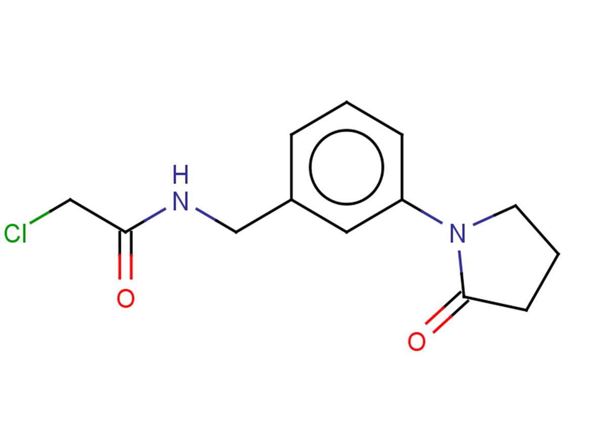2-chloro-N-{[3-(2-oxopyrrolidin-1-yl)phenyl]methyl}acetamide