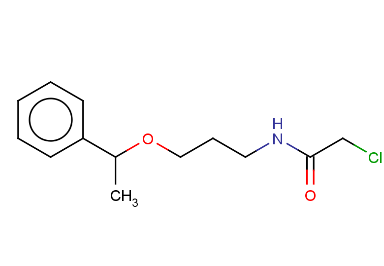 2-chloro-N-[3-(1-phenylethoxy)propyl]acetamide