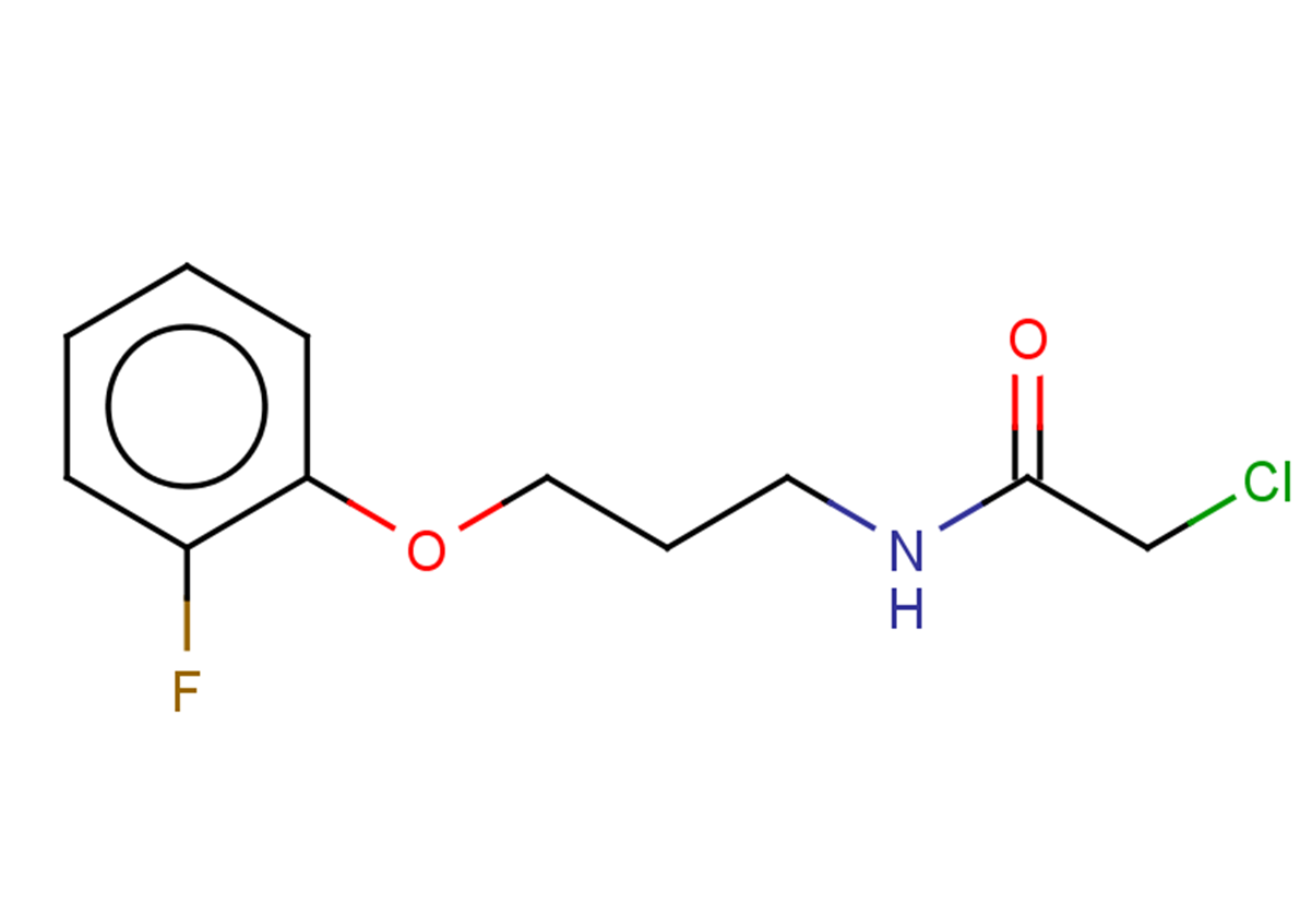 2-chloro-N-[3-(2-fluorophenoxy)propyl]acetamide