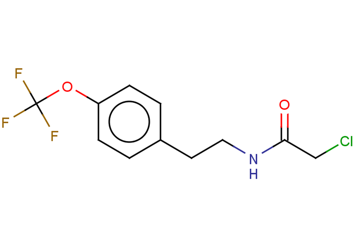 2-chloro-N-{2-[4-(trifluoromethoxy)phenyl]ethyl}acetamide