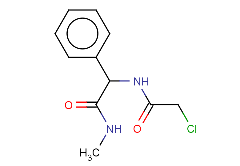 2-(2-chloroacetamido)-N-methyl-2-phenylacetamide