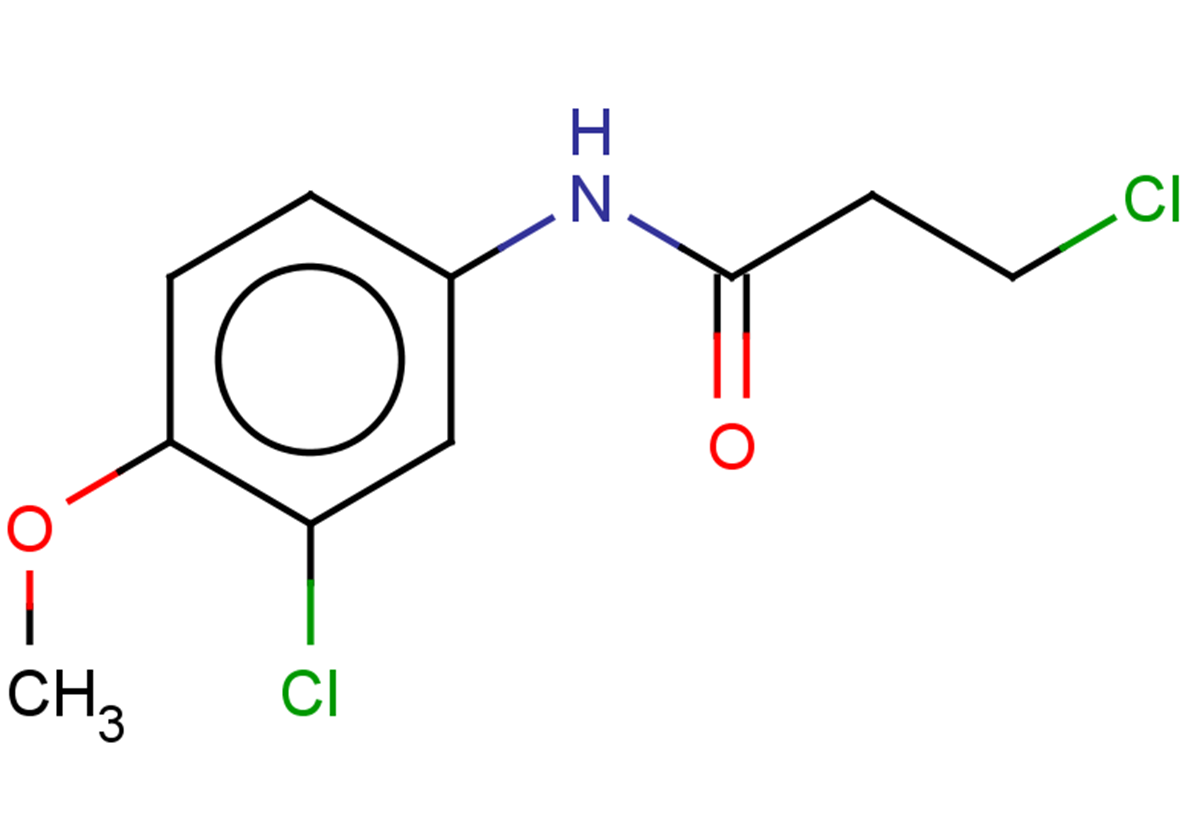 3-chloro-N-(3-chloro-4-methoxyphenyl)propanamide