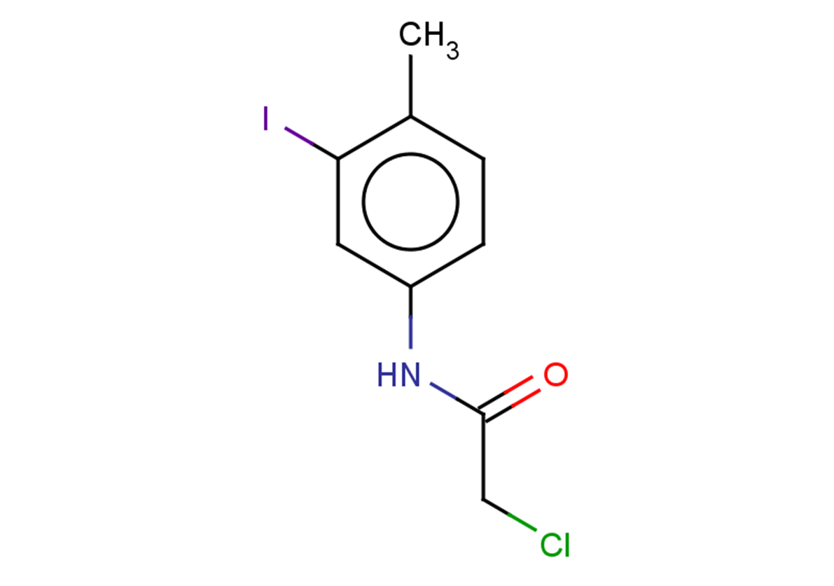 2-chloro-N-(3-iodo-4-methylphenyl)acetamide