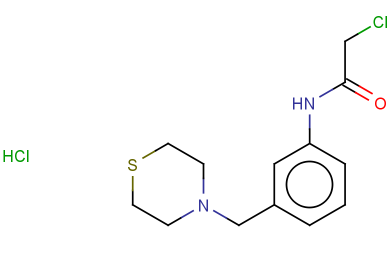 2-chloro-N-[3-(thiomorpholin-4-ylmethyl)phenyl]acetamide hydrochloride