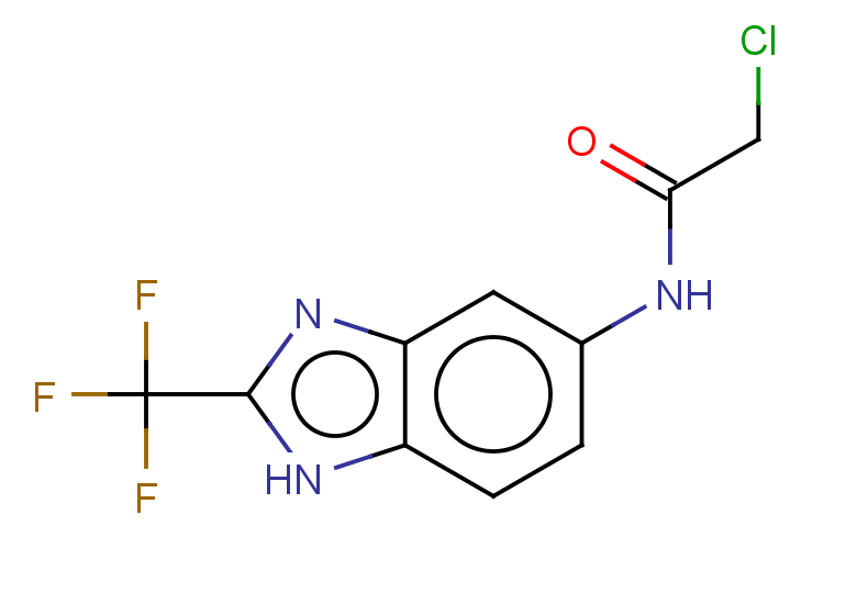 2-chloro-N-[2-(trifluoromethyl)-1H-1,3-benzodiazol-5-yl]acetamide