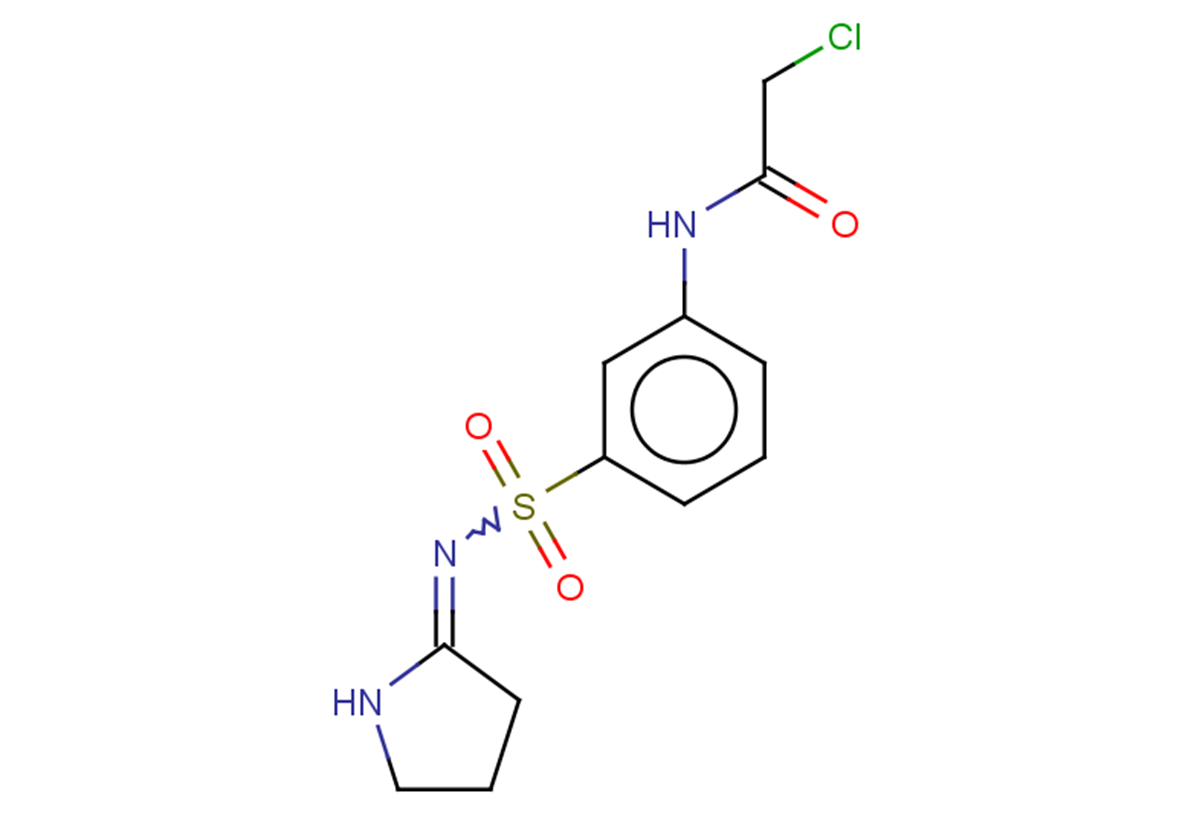 2-chloro-N-{3-[(pyrrolidin-2-ylidene)sulfamoyl]phenyl}acetamide